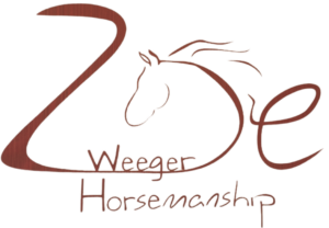 Weeger Horsemanship Reitunterricht Ansbach Nürnberg Mittelfranken