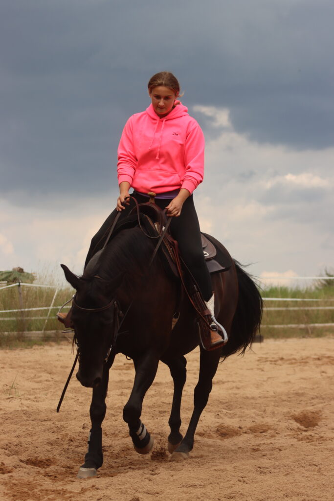 Reittraining Westerntraining Horsemanship Ansbach Nürnberg Mittelfranken Bayern Pferdetraining Gunzenhausen Weißenburg